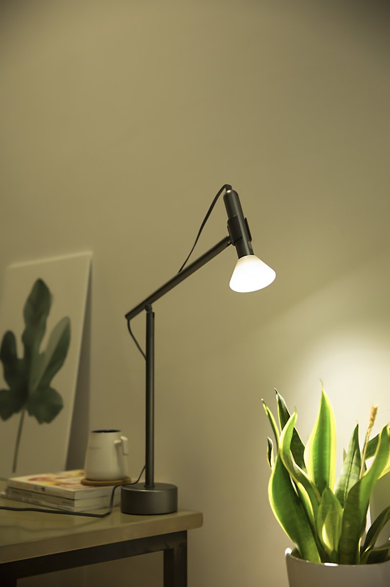 Allocacoc® FlashLight |DeskSpot| warm Επαναφορτιζόμενος Φακός LED με βάση γραφείου (γκρι)