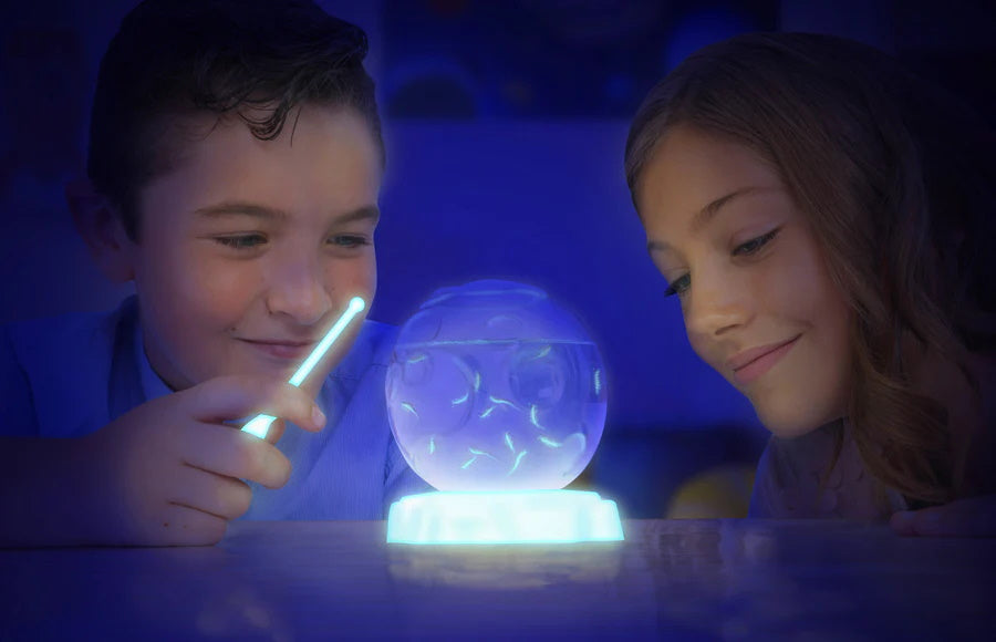 Aqua Dragons Live Astro Pets Ενυδρείο σε σχήμα αστεροειδούς - Basic Kit (6001) κατάλληλο για παιδιά 6 ετών και άνω