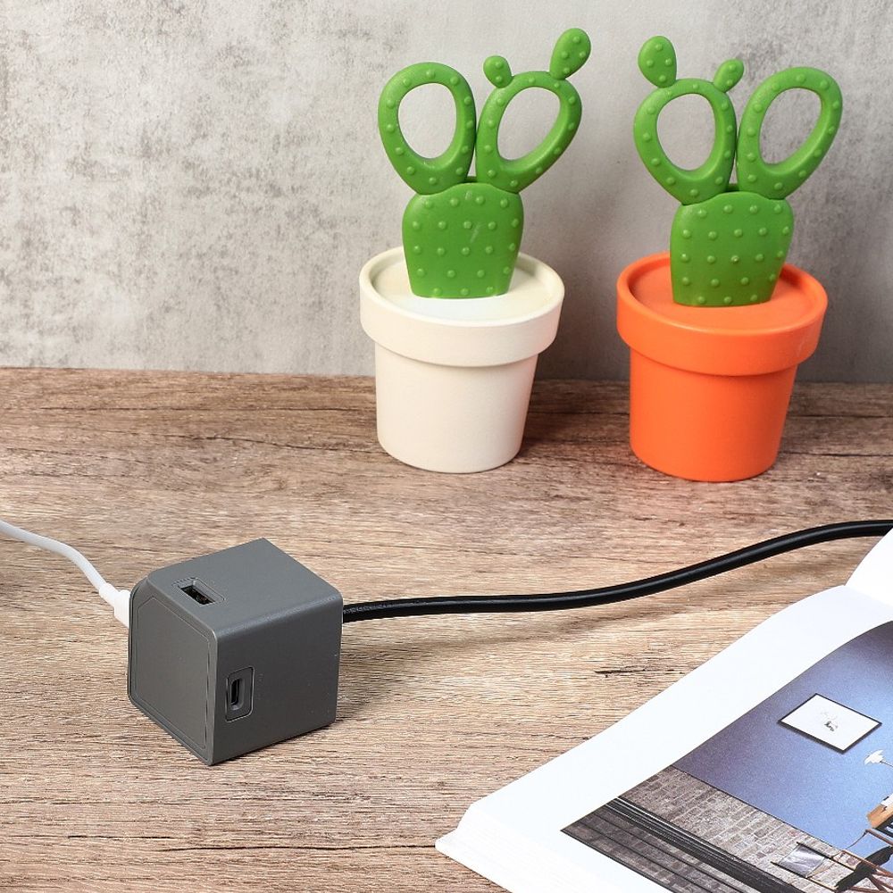 Allocacoc - USBcube - Extended - 2x USB-A+ 2x USB-C - 1.5m Cable - 65W - Γκρι DH1254GY/EUPD65